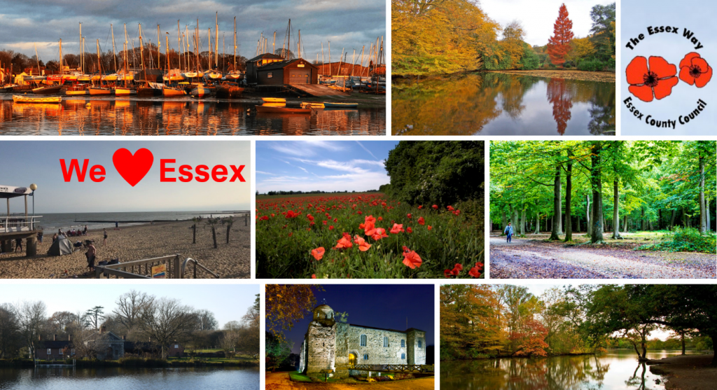 postcard of Essex sights